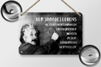 Blechschild Zitat 12x18 cm Einstein Tafel Der Sinn des Lebens Deko Schild