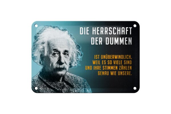 Blechschild Zitat 12x18 cm Einstein Blau Die Herrschaft der Dummen Deko Schild