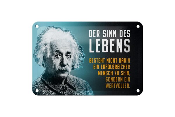 Blechschild Zitat 12x18 cm Einstein Blau Der Sinn des Lebens Deko Schild