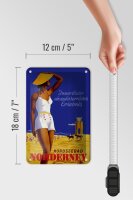 Blechschild Reise 12x18 cm Nordseebad Norderney herrliches Erlebnis Schild