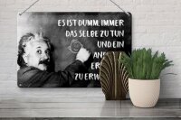 Blechschild Zitat 20x30 cm Einstein Tafel dumm, immer dasselbe zu tun Schild
