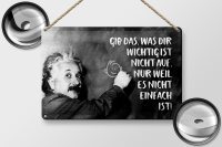 Blechschild Zitat 20x30 cm Einstein Tafel gib das, was dir wichtig ist nicht auf