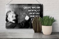 Blechschild Zitat 20x30 cm Einstein Tafel gib das, was dir wichtig ist nicht auf