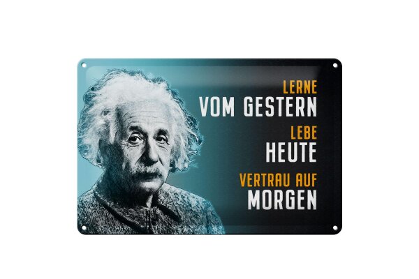 Blechschild Zitat 20x30 cm Einstein Blau lerne lebe vertraue auf Deko Schild