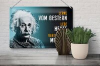 Blechschild Zitat 20x30 cm Einstein Blau lerne lebe vertraue auf Deko Schild