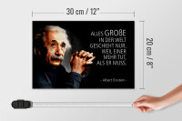Holzschild Zitat 20x30 cm Einstein weil einer mehr tut, als er muss Deko Schild