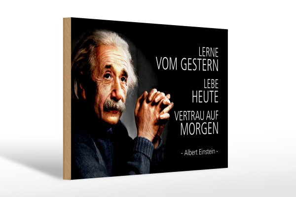 Holzschild Zitat 20x30 cm Einstein lerne lebe vertraue auf Deko Schild
