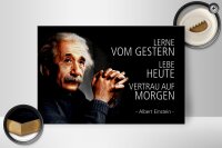 Holzschild Zitat 20x30 cm Einstein lerne lebe vertraue auf Deko Schild