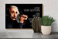 Holzschild Zitat 20x30 cm Einstein lerne lebe vertraue auf Deko Schild