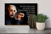 Holzschild Zitat 20x30 cm Einstein Mitglied einer Schafherde Deko Schild