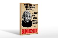 Holzschild Spruch 20x30 cm bist du nicht Bahnbrechend Einstein Deko Schild