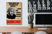 Holzschild Spruch 20x30 cm bist du nicht Bahnbrechend Einstein Deko Schild