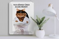 Blechschild Spruch 30x40 cm Karate Katze Wir können über alles Reden Deko Schild
