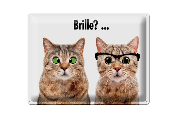 Blechschild Tiere 30x40 cm Katzen mit und ohne Brille Deko Schild