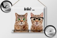 Blechschild Tiere 30x40 cm Katzen mit und ohne Brille Deko Schild