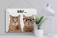 Blechschild Tiere 30x40 cm Katzen mit und ohne Brille Deko Schild