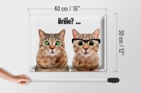 Blechschild Tiere 30x40 cm Katzen mit und ohne Brille Deko Schild