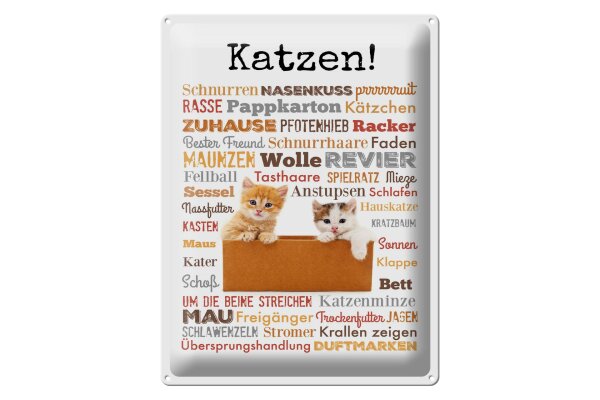 Blechschild Tiere 30x40 cm Katzen Katzenbegriffe Deko Schild