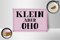 Holzschild Spruch 18x12cm klein aber Oho Schild