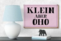 Holzschild Spruch 18x12cm klein aber Oho Schild