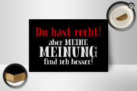 Holzschild Spruch 18x12cm du hast recht aber meine Meinung