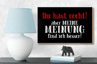 Holzschild Spruch 18x12cm du hast recht aber meine Meinung