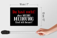 Holzschild Spruch 18x12cm du hast recht aber meine Meinung