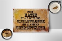 Holzschild Spruch 18x12cm meine Katze ist eine Katastrophe