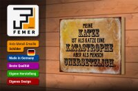 Holzschild Spruch 18x12cm meine Katze ist eine Katastrophe