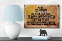 Holzschild Spruch 18x12cm meine Katze ist eine Katastrophe