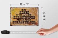 Holzschild Spruch 18x12cm meine Katze ist eine Katastrophe