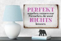 Holzschild Spruch 18x12cm perfekt aussehen nichts können