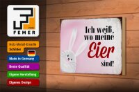 Holzschild Spruch 18x12cm Osterhase weiß wo Eier sind