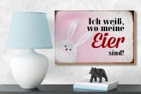 Holzschild Spruch 18x12cm Osterhase weiß wo Eier sind