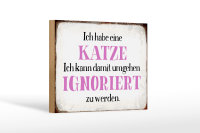 Holzschild Spruch 18x12cm habe Katze kann ignoriert werden