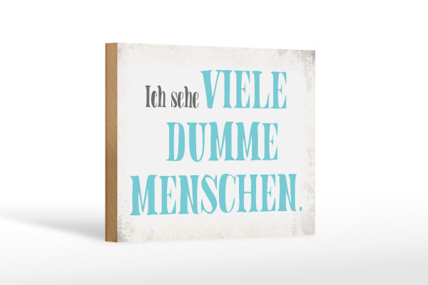 Holzschild Spruch 18x12cm ich sehe viele dumme Menschen