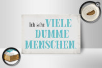 Holzschild Spruch 18x12cm ich sehe viele dumme Menschen
