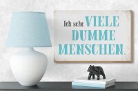 Holzschild Spruch 18x12cm ich sehe viele dumme Menschen