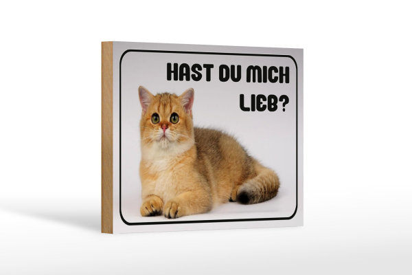 Holzschild Katze 18x12cm hast du mich lieb Geschenk