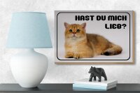 Holzschild Katze 18x12cm hast du mich lieb Geschenk