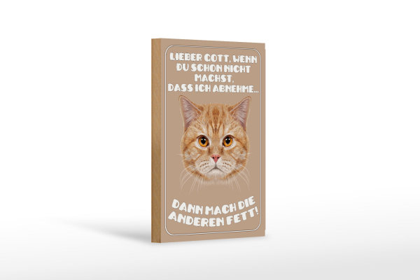 Holzschild Katze 12x18cm lieber Gott wenn du schon nicht