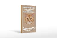 Holzschild Katze 12x18cm lieber Gott wenn du schon nicht