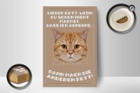 Holzschild Katze 12x18cm lieber Gott wenn du schon nicht