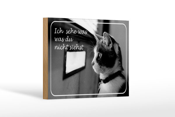 Holzschild Katze 18x12cm ich sehe was du nicht siehst