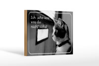 Holzschild Katze 18x12cm ich sehe was du nicht siehst