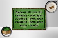 Holzschild Spruch 18x12cm Raupe sein fressen schlafen