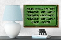 Holzschild Spruch 18x12cm Raupe sein fressen schlafen