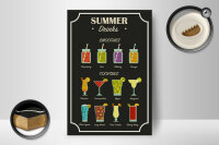 Holzschild Drinks 12x18cm Summer Smoothies Cocktails