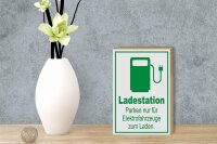 Holzschild Parken 12x18cm Ladestation nur Elektrofahrzeuge