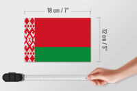 Holzschild Flagge Weißrussland 18x12cm Flag of Belarus
